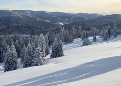 Zima w Zwardoniu, na Rachowcu, z widokiem na Tatry, styczeń 202