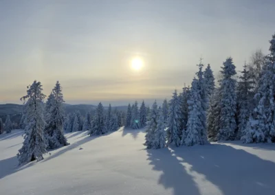 Zima w Zwardoniu, na Rachowcu, z widokiem na Tatry, styczeń 202