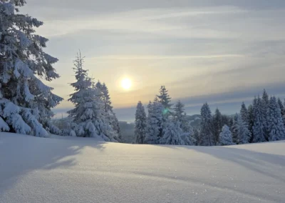 Zima w Zwardoniu, na Rachowcu, z widokiem na Tatry, styczeń 202