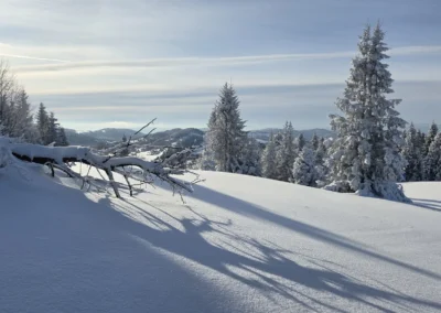 Zima w Zwardoniu, na Rachowcu, z widokiem na Tatry, styczeń 202
