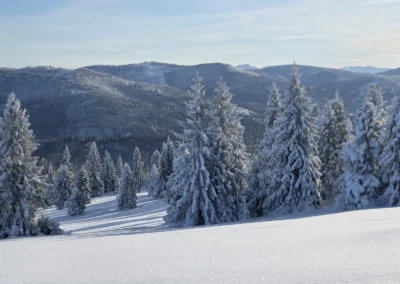 Zima w Zwardoniu, na Rachowcu, z widokiem na Tatry, styczeń 202